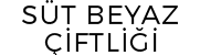Partner 1