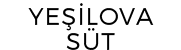 Partner 1